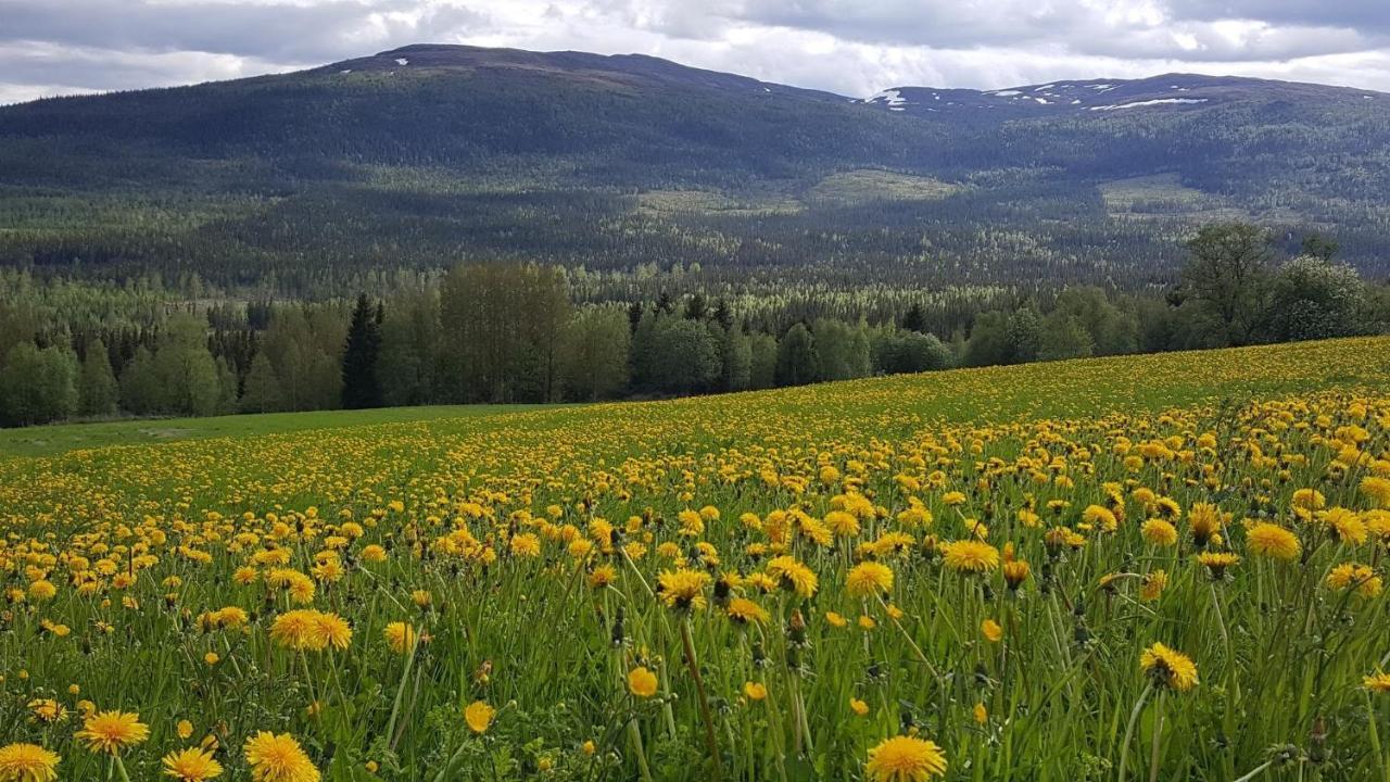 بيت شباب Renfjaellsgarden Edsasdalen المظهر الخارجي الصورة