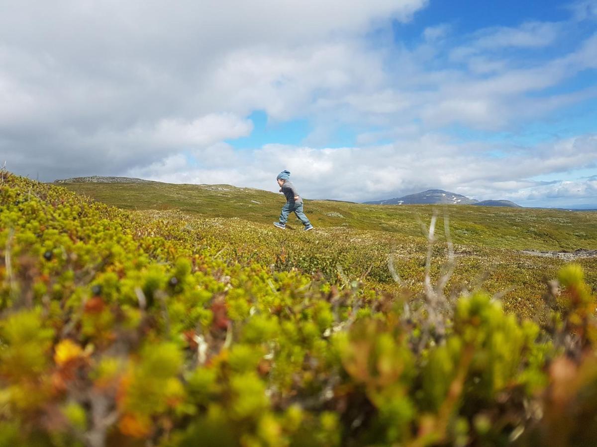 بيت شباب Renfjaellsgarden Edsasdalen المظهر الخارجي الصورة