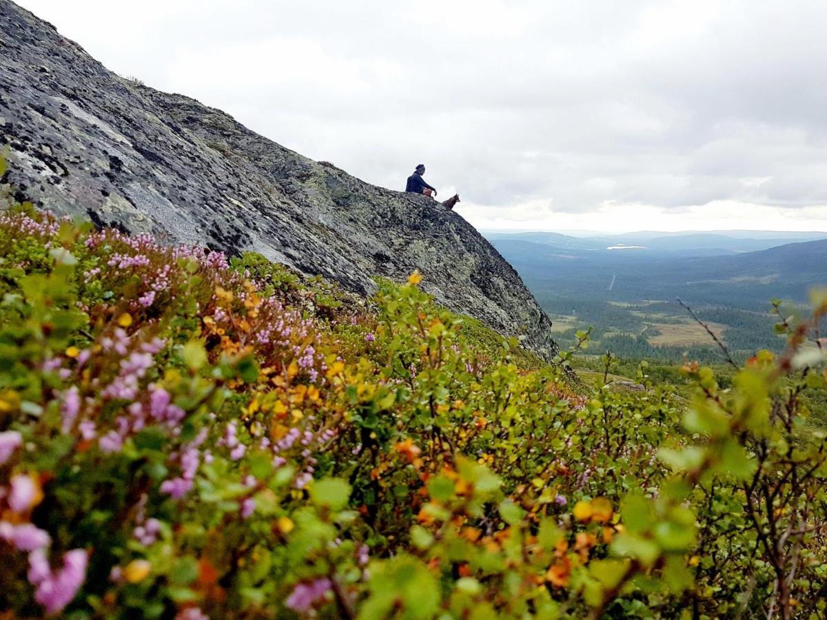 بيت شباب Renfjaellsgarden Edsasdalen المظهر الخارجي الصورة