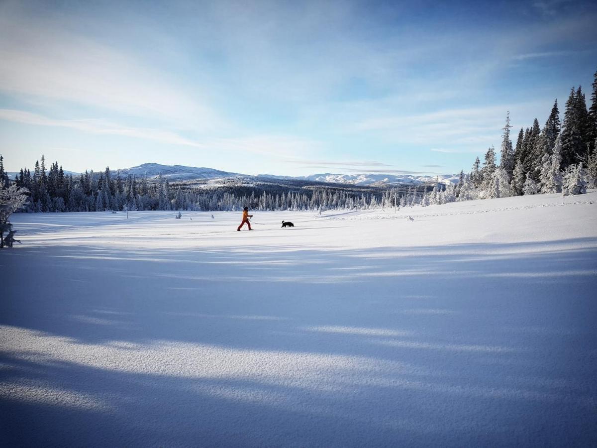بيت شباب Renfjaellsgarden Edsasdalen المظهر الخارجي الصورة